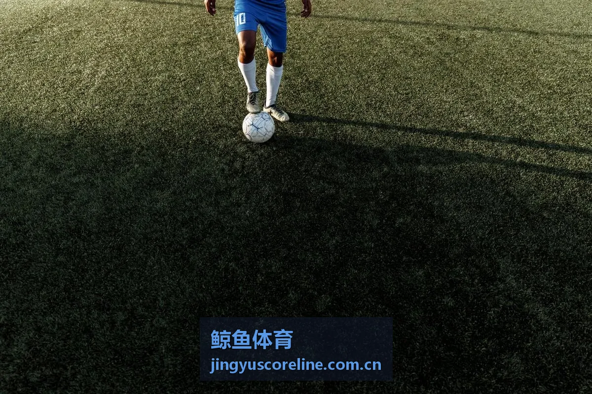 鲸鱼体育网球赛事大满贯数据分析
